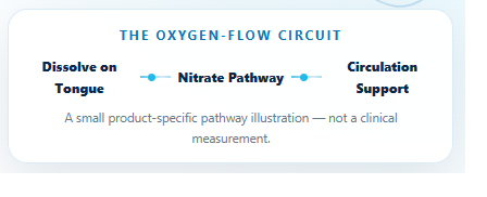 Illustrative AMP Joint 10 joint-support pathway diagram